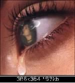 poze k billutz - billutza~love TH - ^^Poze^^