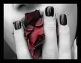 .::~poze,poze,poze~::. - mihaiapril - ^^Orice^^