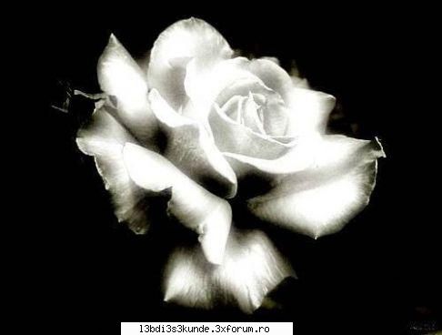 .::~poze,poze,poze~::. - billutza~love TH - ^^Orice^^