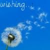 .::~poze,poze,poze~::. - ich_liebe_dich - ^^Orice^^