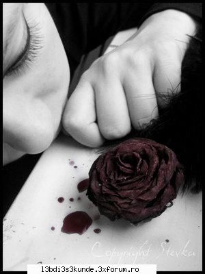 .::~poze,poze,poze~::. - Morphy - ^^Orice^^