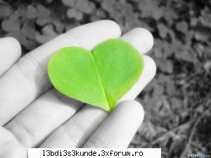 .::~poze,poze,poze~::. - Morphy - ^^Orice^^